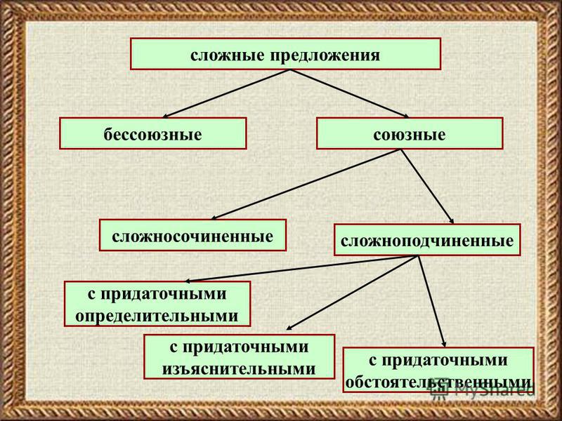 Определите вид сложного. Сложноподчиненное сложносочиненное и Бессоюзное предложение. Бессоюзные сложные сложносочиненные Сложноподчинённые. Сложное предложение сложносочиненное сложноподчиненное Бессоюзное. Сложное Союзное сложносочиненное предложение.