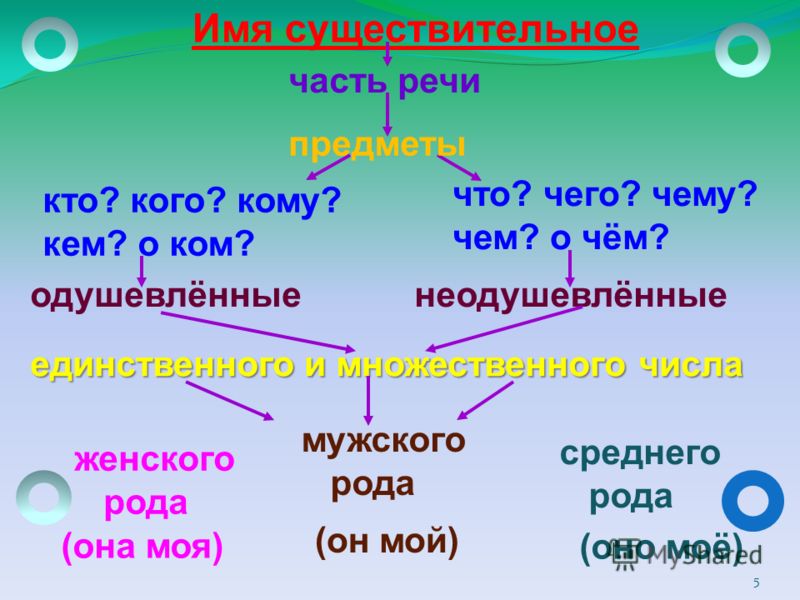 Что такое существительное 2 класс русский язык. Имя существительное. Имя существительное 3 класс. Имя существительное в русском языке. Части речи имена существительные.