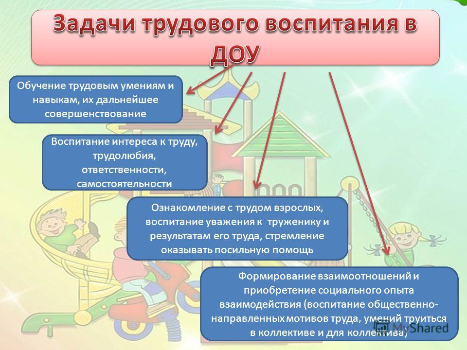 Проект по трудовому воспитанию