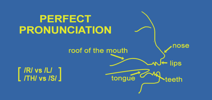perfect pronunciation sounds of english