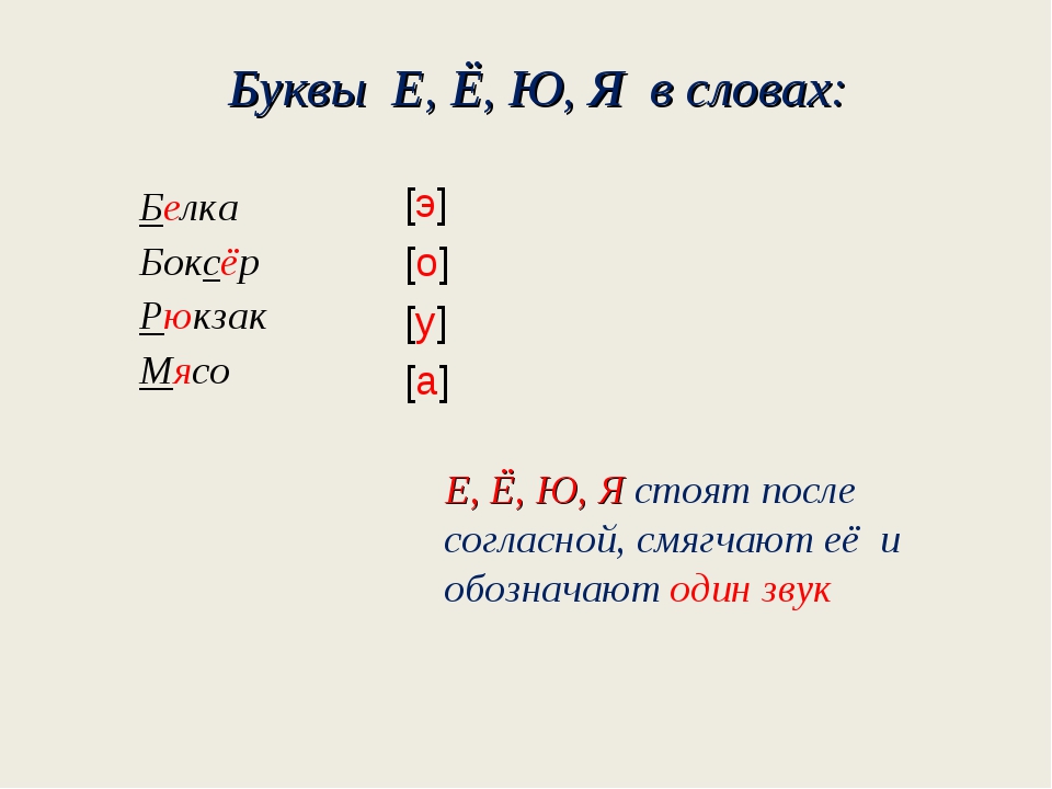 Укрылись сколько звуков. Сколько звуков в слове белка. Буквы и звуки в словах. Сколько звуков. Мягкие согласные в слове белка подчеркнуть.