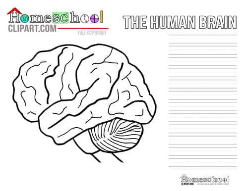 braingame