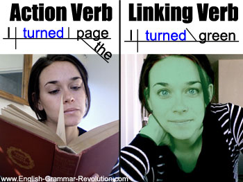 Action Verb vs Linking Verb + Sentence Diagram www.GrammarRevolution.com/what-is-a-verb.html